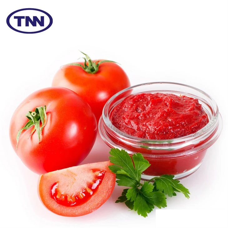 Tomato Paste manufacture