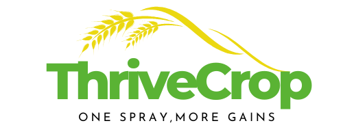 ThriveCrop-Macro-Element Suspension Liquid Fertilizer 2 - ThriveCrop-Macro-Element Suspension Liquid Fertilizer 2 -